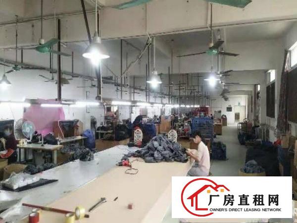 
		新圩花园式厂房一楼600平方可做污染
	