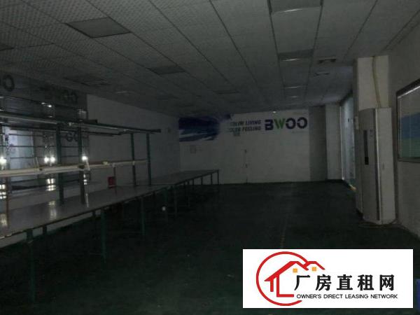 
		惠阳新墟原房东独院！证件齐全，电过户！空地1:1！形象一流
	