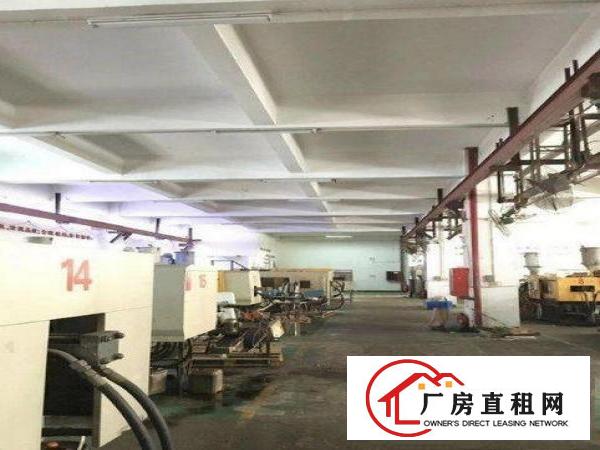 
		惠阳新墟原房东厂房1楼1000平2楼3000平出租
	