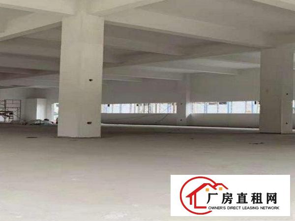 
		新墟工业区楼上厂房2350平方出租，可以大小分租
	