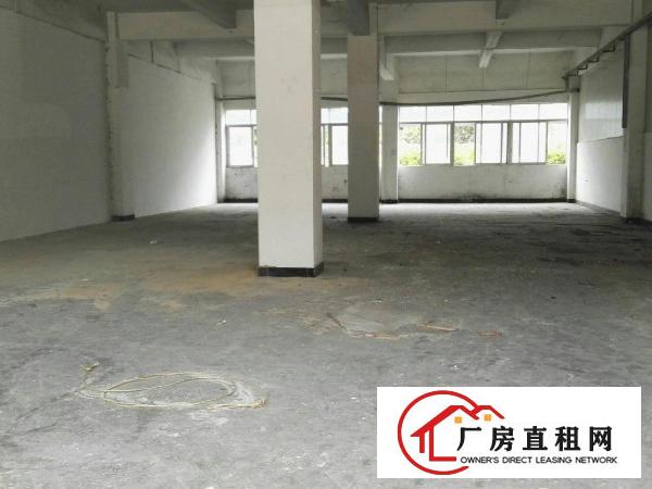 
		出租惠阳新墟标准一楼5.3米高550平方厂房
	
