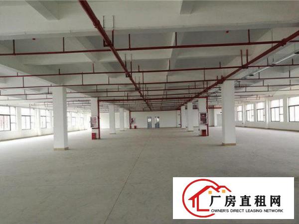 
		出租惠阳新墟楼上标准厂房890平形象好
	