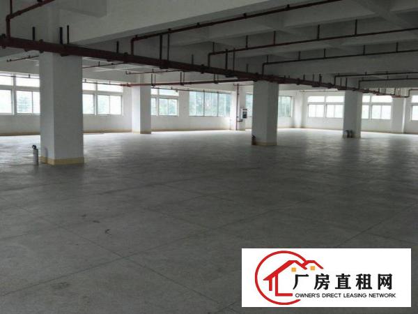 
		惠阳新墟全新1300平标准楼房出租可分租，水电办公室齐全
	