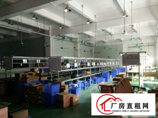 
		出租惠阳新墟标准厂房一楼1000平米
	