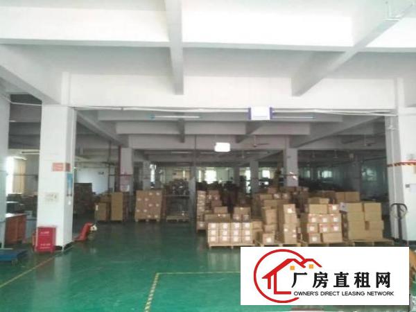 
		园洲镇700平米油漆化工厂出租！
	