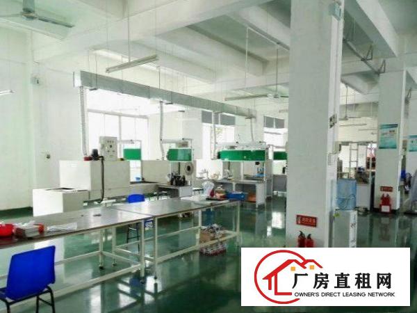 
		出租惠阳新墟一楼900平方带现成装修，交通便利
	