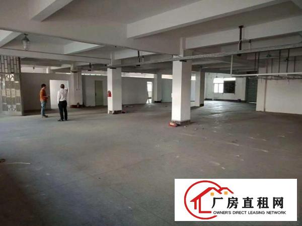 
		出租惠阳新墟原房东一楼厂房1200方
	