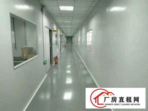 
		陈江金铂奇工业园带装修砖墙到顶新钢构2100平招租
	