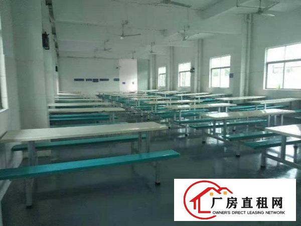 
		原房东招租！红本大亚湾工业园招租！水电齐全
	