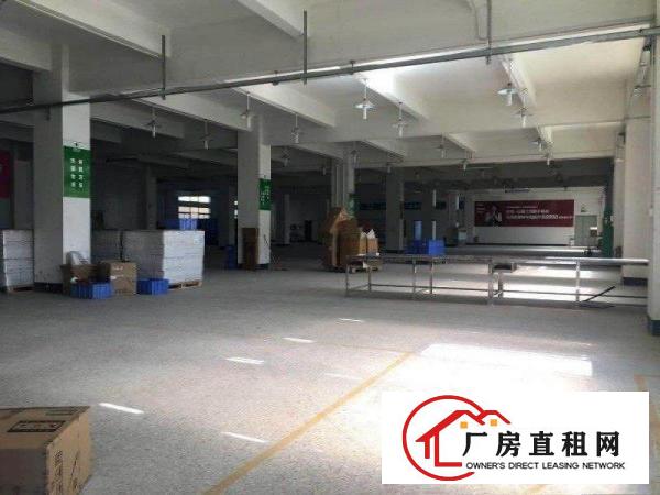 
		塘吓路口原房东标准一楼800平方厂房出租主线已到位
	