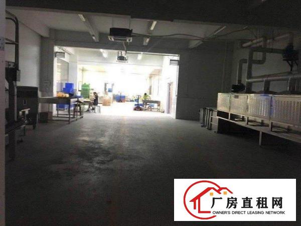 
		塘吓路口原房东标准一楼800平方厂房出租主线已到位
	