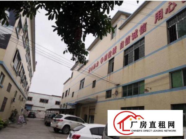 
		惠阳新圩楼上原房东厂房出租，980平米招租
	
