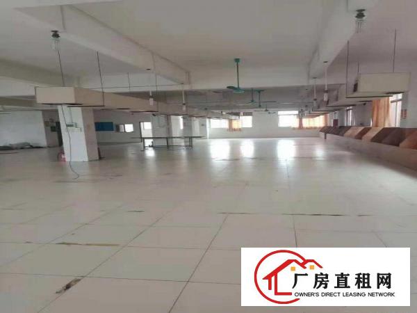 
		惠阳新圩楼上原房东厂房出租，980平米招租
	