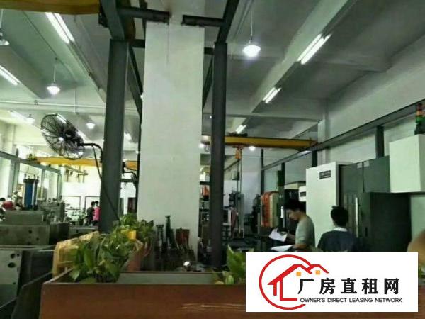 
		出租惠阳新墟一楼1300平厂房，高6米，现成行车
	