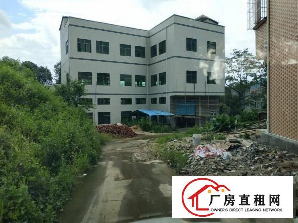 
		新圩塘口村新出原房东独院厂房1479平方有电梯
	