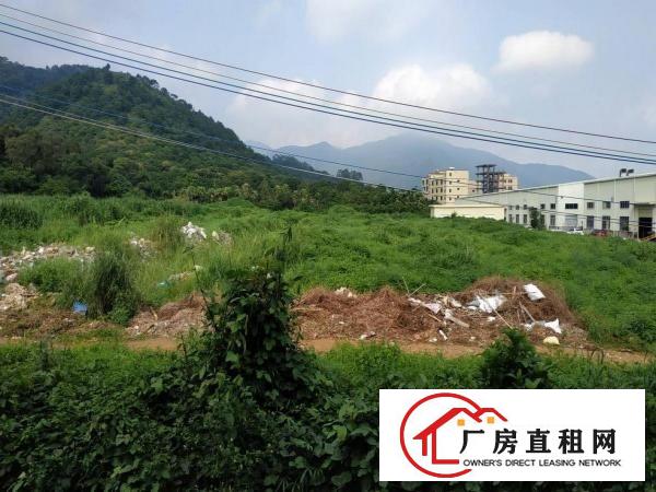
		新圩新出原房东钢构4500平方带空地20000平方证件齐全
	