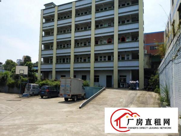 
		新圩镇原房东红本独院厂房7890平方证件齐全可办环评
	