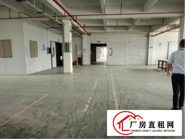 
		新圩高速口附近原房东独院三层厂房招租可实量800平空地500
	