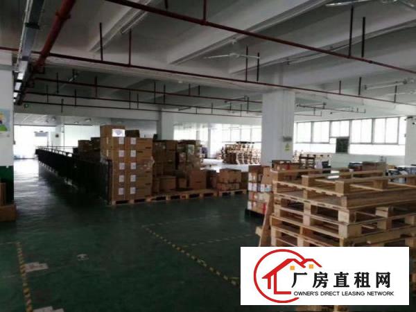 
		新圩约场原房东一楼1200平带现成装修厂房出租
	