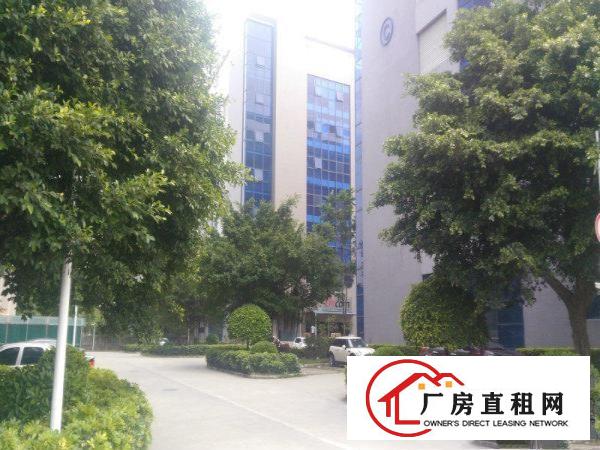 
		新圩塘吓工业区带装修标准厂房面积2000平米出租
	