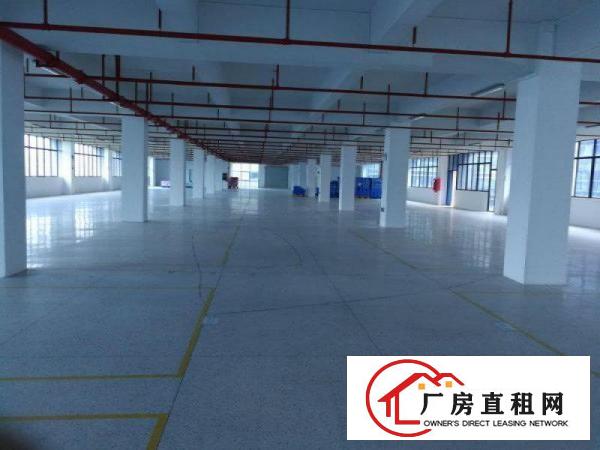 
		新圩塘吓工业区带装修标准厂房面积2000平米出租
	