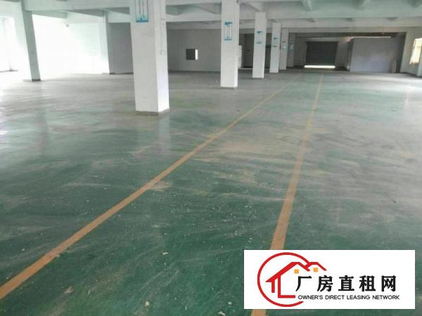 
		新圩高速出口新出红本（包办过环评）独院7000平米出租
	