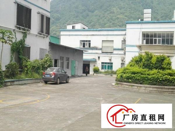 
		新圩高速出口新出红本（包办过环评）独院7000平米出租
	