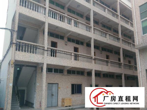 
		新圩花边岭工业区独院标准厂房面积6000平米出租
	