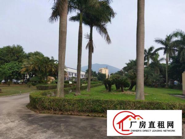 
		真正的花园式厂房！丙类消防！配电1250kva可过户！
	