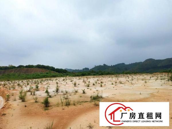 
		新圩新出工业土地26900平米配电500千瓦可分租
	