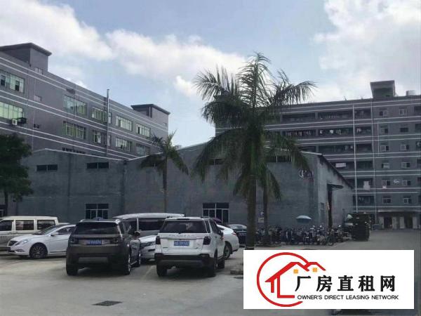 
		宝龙钢构厂房2180平米，滴水8米！村委厂房直接出租
	