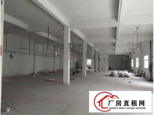 
		惠州惠阳新圩1500平方原房东独院厂房出租，可分租
	