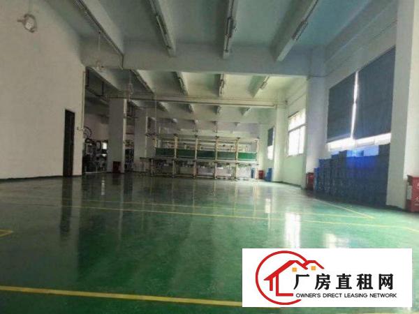 
		惠阳镇隆标准楼上一整层1200平带豪华装修出租可分租
	