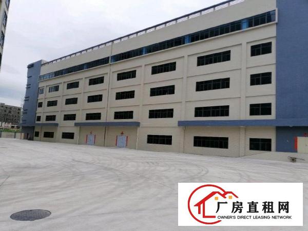 
		镇隆镇亮的原房东厂房
	