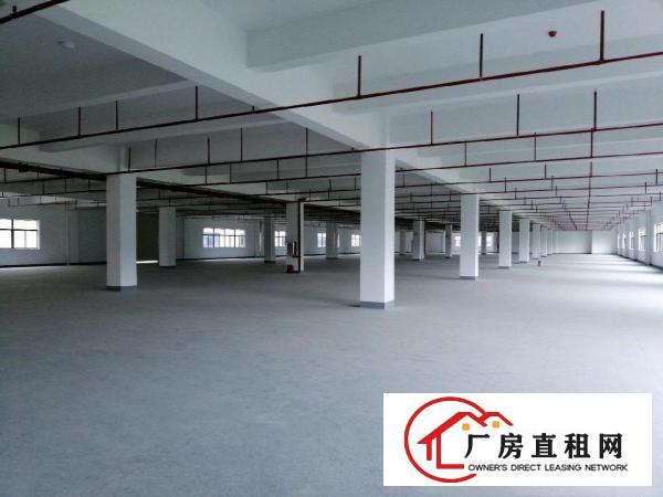 
		镇隆镇亮的原房东厂房
	