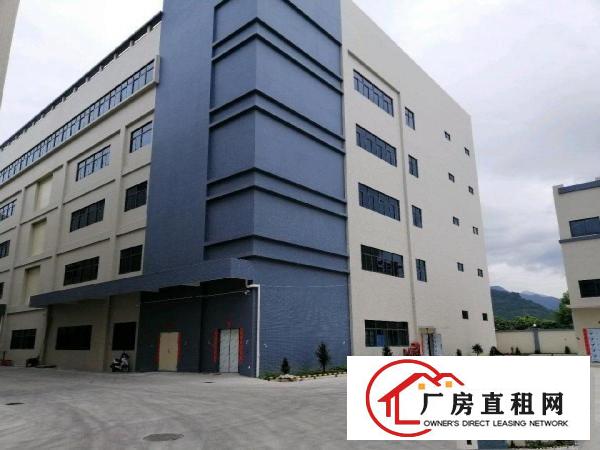 
		镇隆镇亮的原房东厂房
	
