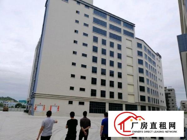 
		镇隆镇亮的原房东厂房
	