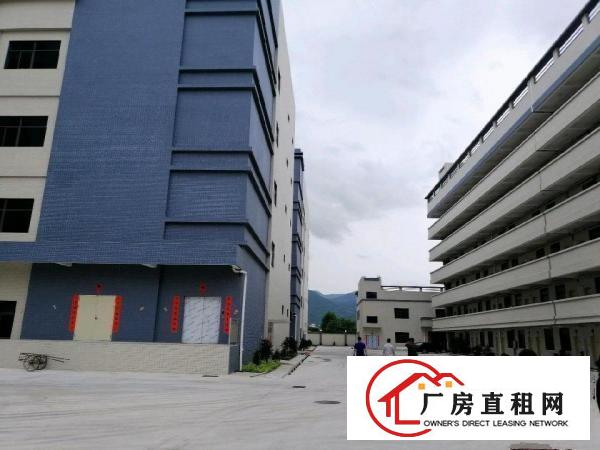 
		镇隆镇亮的原房东厂房
	