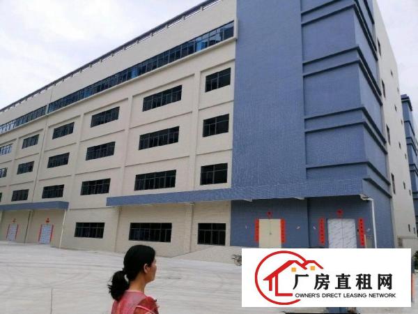 
		镇隆镇亮的原房东厂房
	