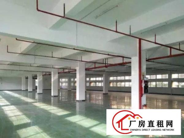 
		出租惠阳镇隆标准厂房车间300平米
	
