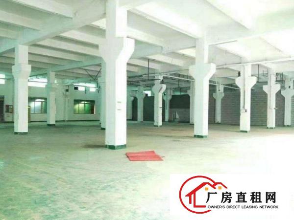 
		惠阳镇隆一楼1800平方厂房带牛角出租可分租
	