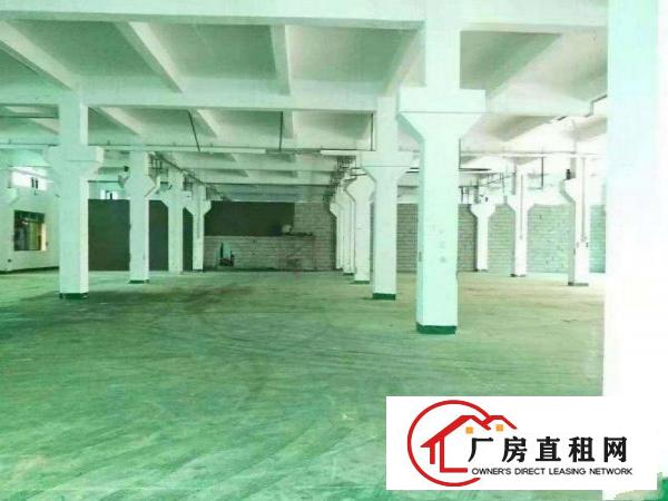 
		惠阳镇隆一楼1800平方厂房带牛角出租可分租
	