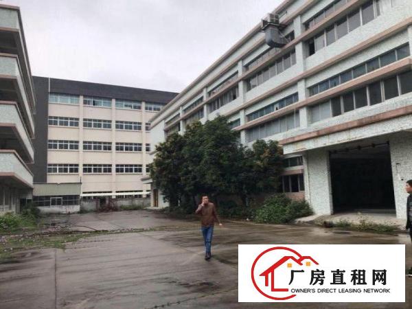 
		镇隆独门独院三层每层2000方整栋出租可分租
	