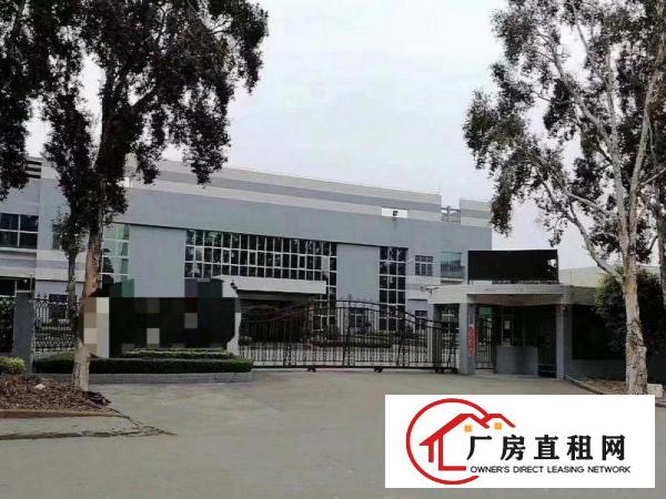 
		镇隆独门独院单一层1000方起分租（办公楼配套）
	