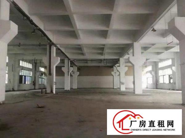 
		惠阳镇隆优质工业厂房出租1500平8成新带牛角可分租
	
