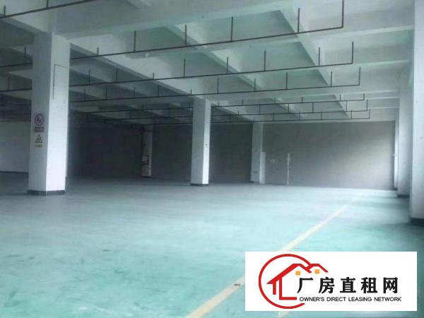 
		惠阳镇隆新出一楼810平方招租整租带装修消防喷淋
	