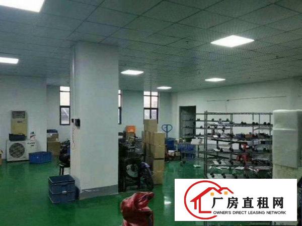 
		镇隆原房东一楼550，二楼1100平厂房出租可分租！
	