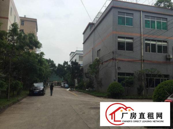 
		出租惠阳镇隆1000方楼上厂房带电梯
	