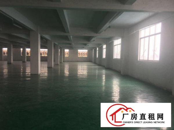 
		出租惠阳镇隆1000方楼上厂房带电梯
	