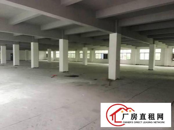 
		出租惠阳镇隆出租惠阳镇隆出租惠阳镇隆
	